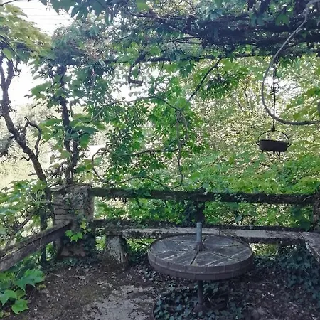 Killari Mézens